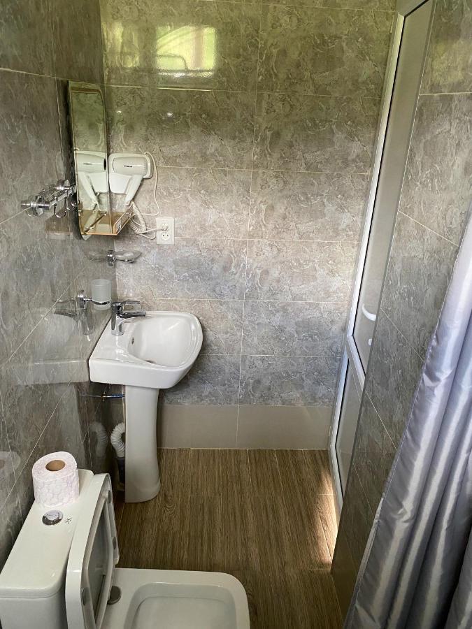 Dato Khetaguri Apartment カズベギ エクステリア 写真