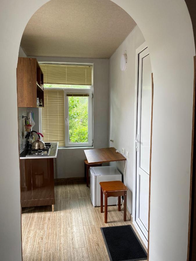 Dato Khetaguri Apartment カズベギ エクステリア 写真