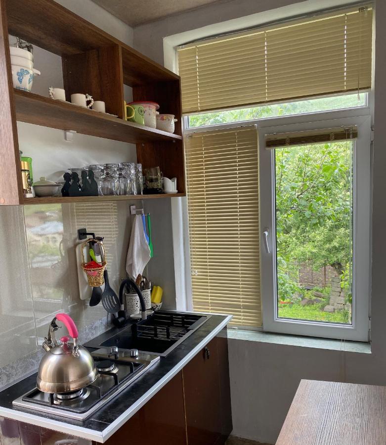 Dato Khetaguri Apartment カズベギ エクステリア 写真