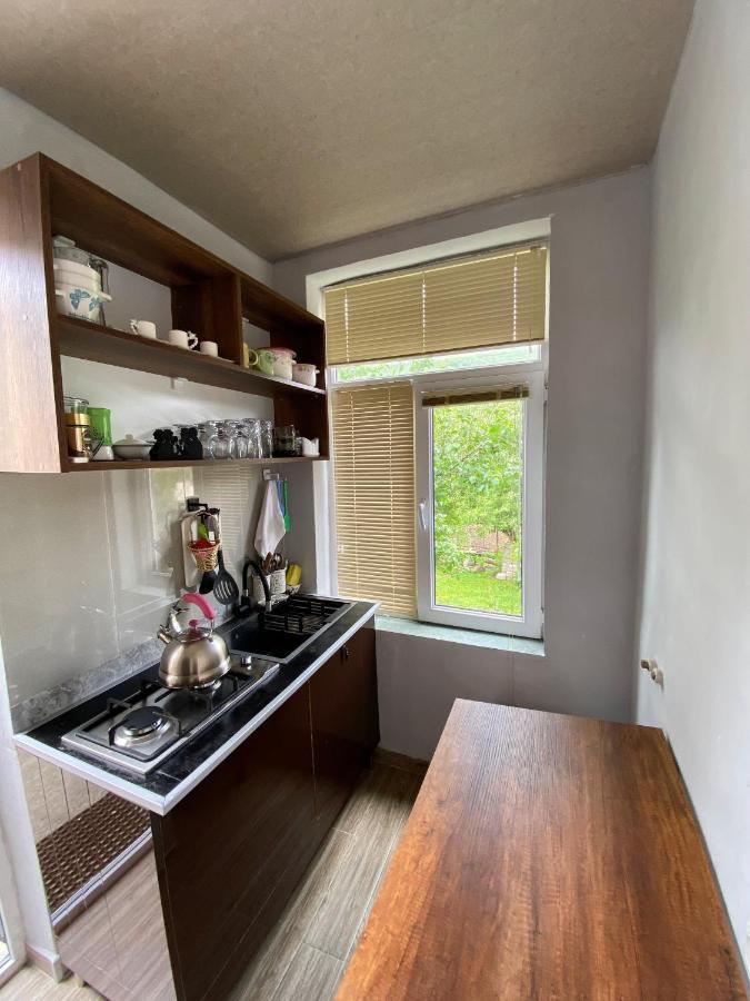 Dato Khetaguri Apartment カズベギ エクステリア 写真
